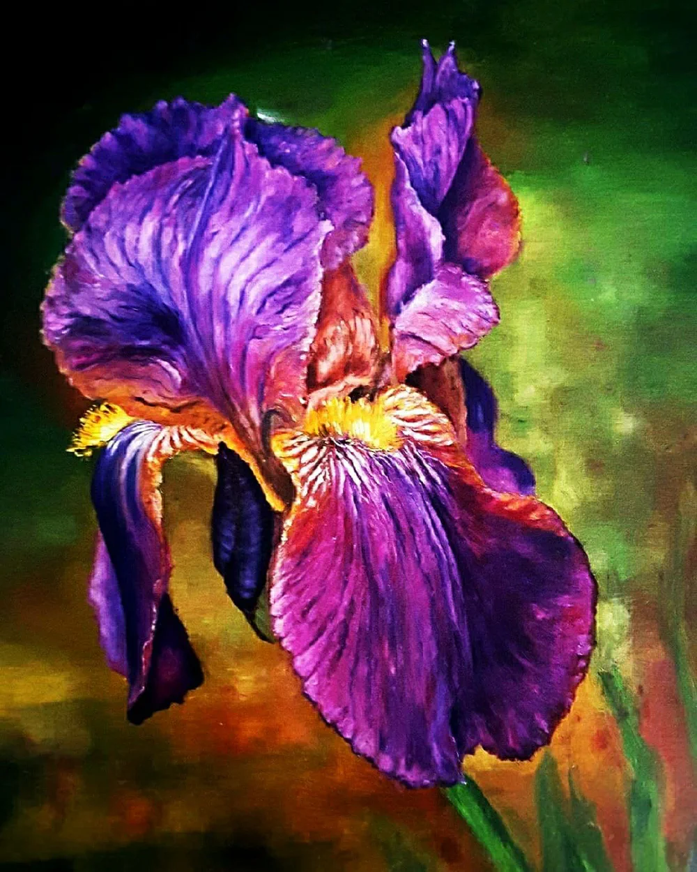 Iris